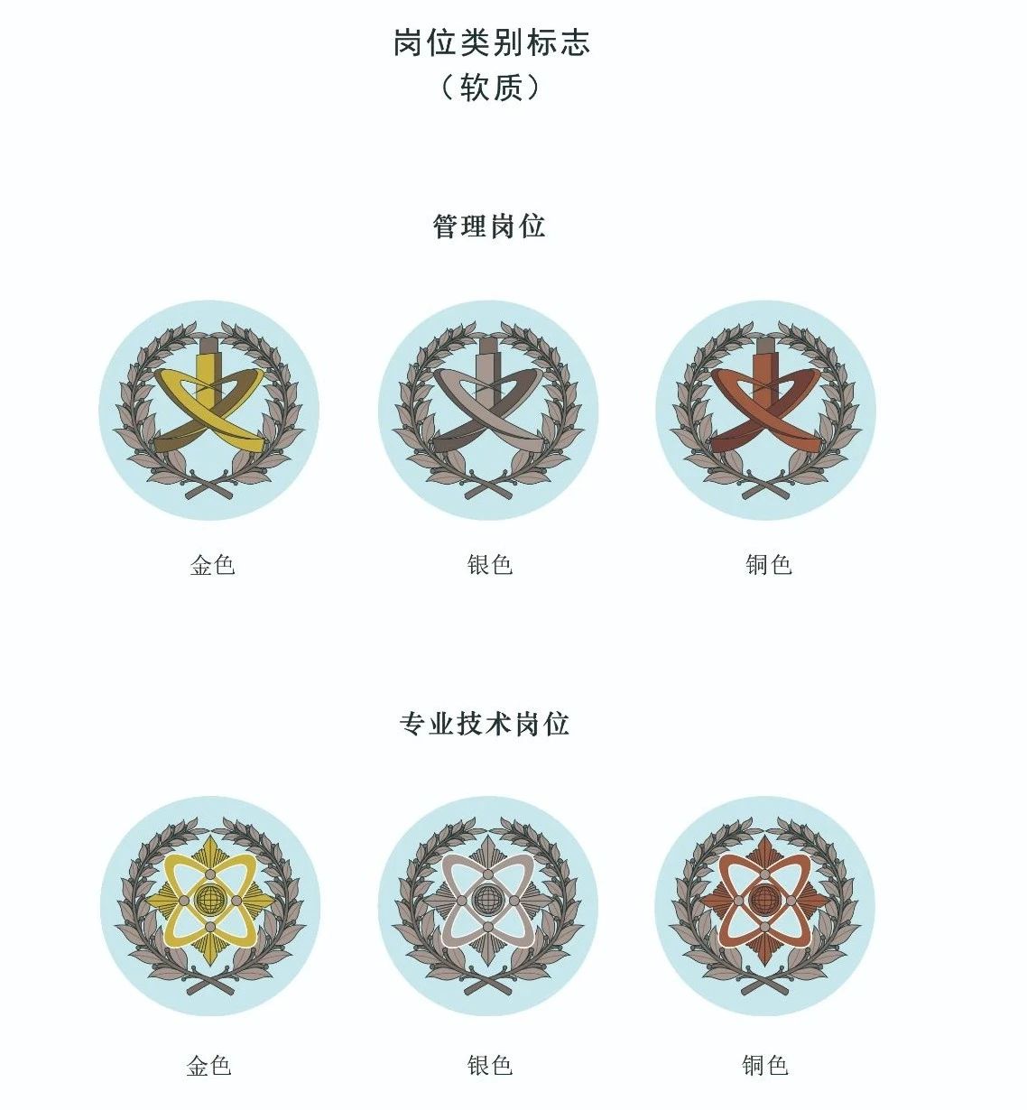 軍隊(duì)文職全套服飾與標(biāo)志匯總